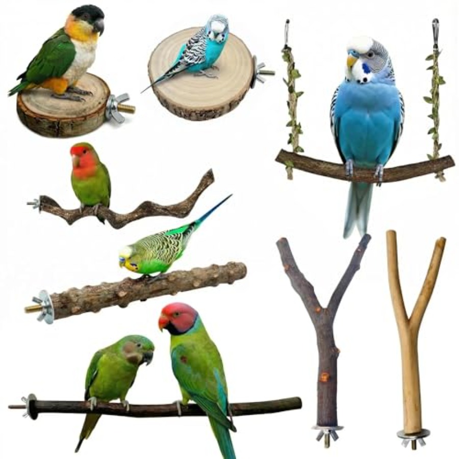 Health & Wellness Unlimited - 8 perchoirs en bois naturel pour